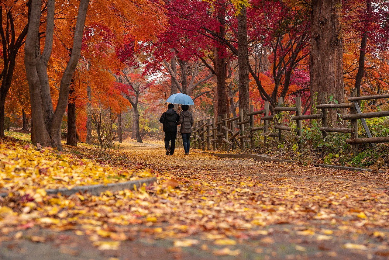 people walking in Autumn leaves holding umbrella