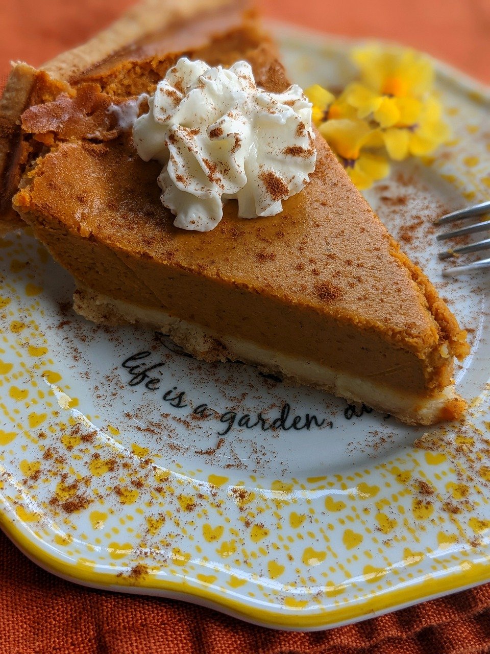 slice of pumpkin pie