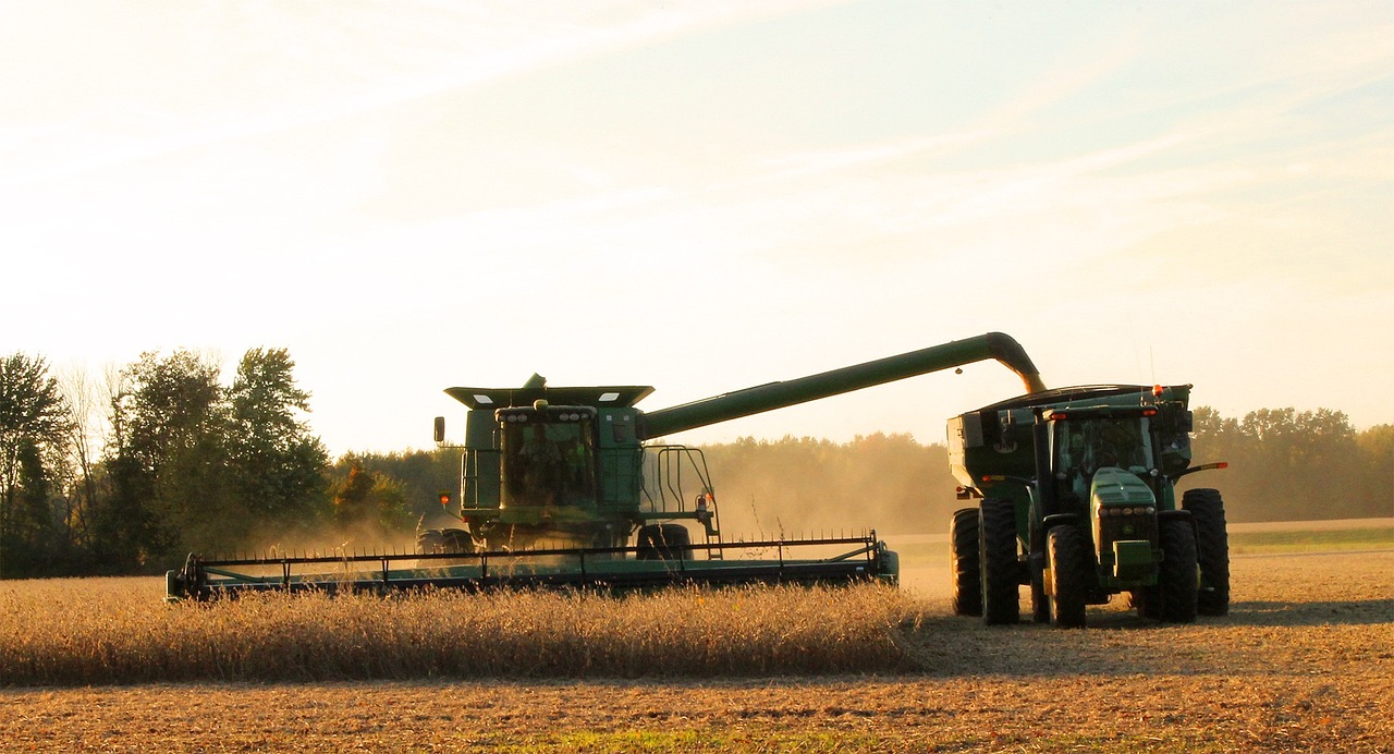 Soybean harvest