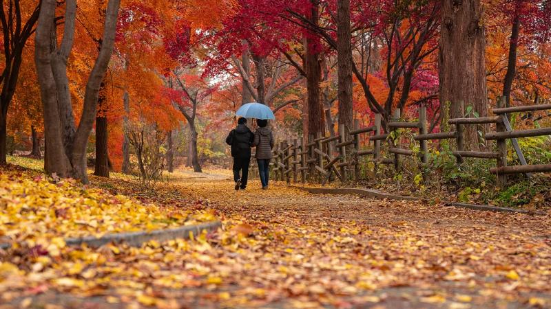 people walking in Autumn leaves holding umbrella