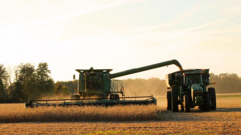 Soybean harvest